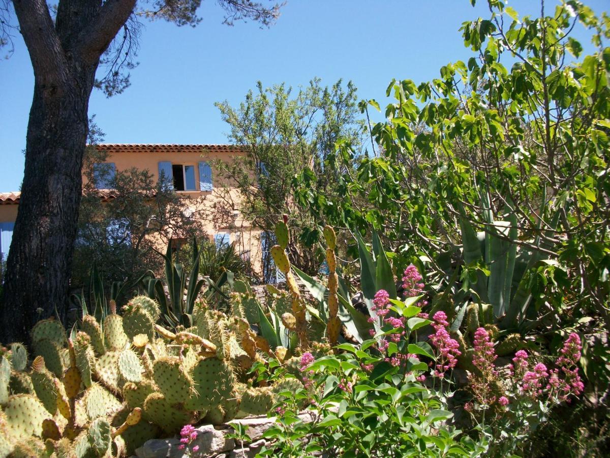 Bed and Breakfast Les Chardons Bleus Лорг Экстерьер фото